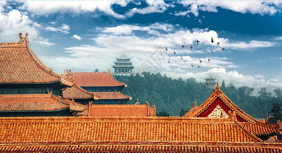 坐屋顶北京故宫紫禁城背景