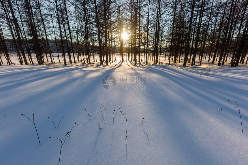 阿尔山的冰雪荒原图片