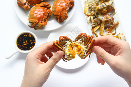 每周食谱美味大闸蟹螃蟹蟹黄白底背景素材背景