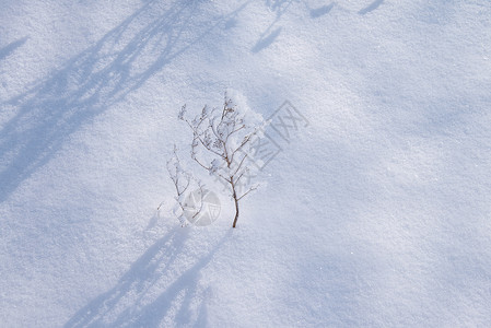 雪地和脚印冬天雪地纹理素材背景