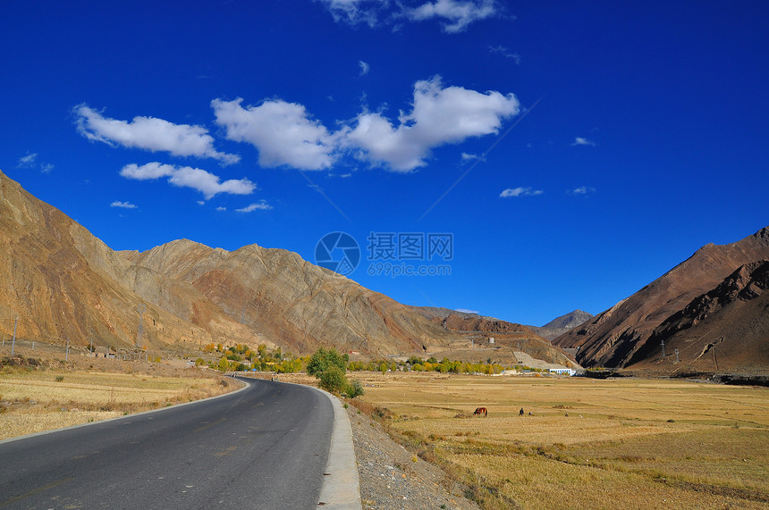 西藏公路图片