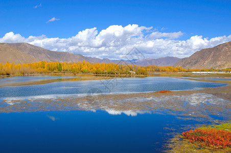 拉萨河西藏 秋色背景