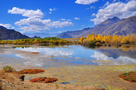 拉萨河西藏秋色背景