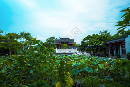 高清蓝底素材中国风古建筑荷花塘背景背景