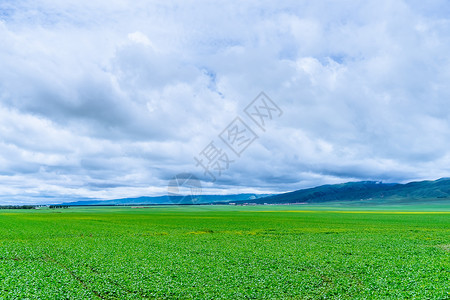 新疆草原自然风光高清图片