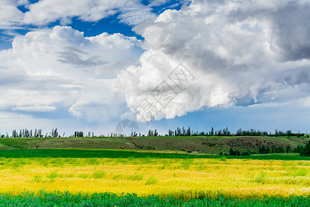 夏季农村新疆草原自然风光背景