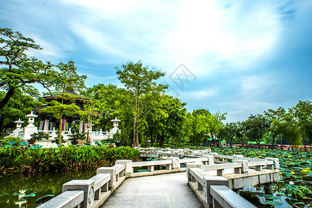 荷叶森林中国风古建筑石板桥背景背景