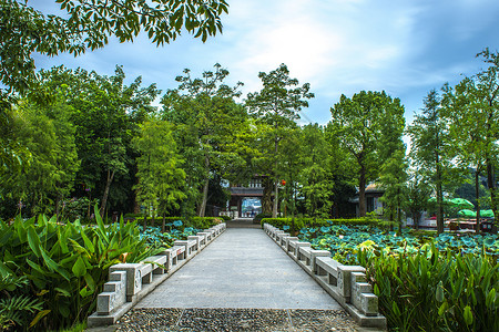 蓝色大气中国风虎年中国风古建筑石板路背景背景