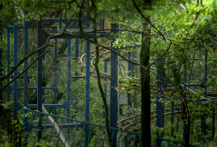 暗黑森林废弃游乐园高清图片