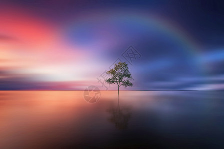 唯美三月海报风雨后的彩虹背景