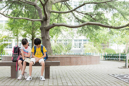 一起去上学在树下坐着一起看书的小学生背景