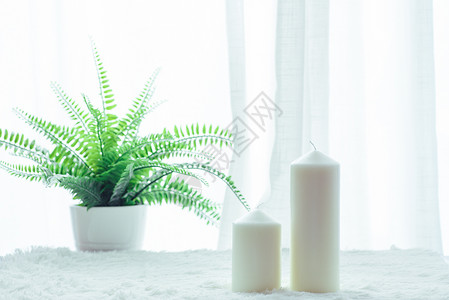 盆栽植物装饰居家香氛蜡烛摆放背景