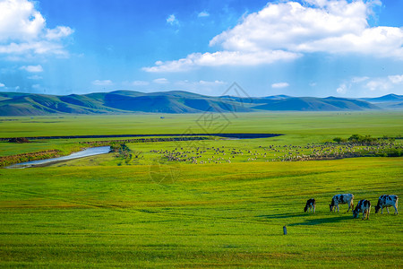 科尔沁大草原美丽的大草原背景