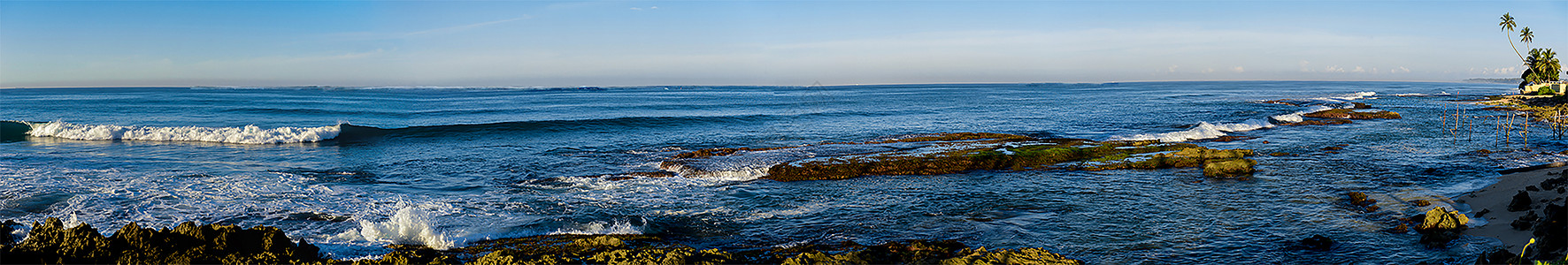 沧海一鳞图片