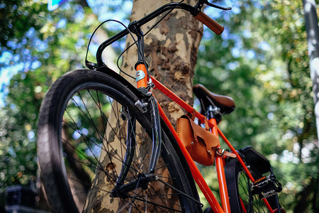创意秋天树复古自行车背景