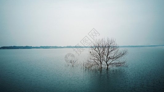 意境蓝湖背景图片