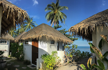 太阳伞躺椅海岛上的别墅泳池背景