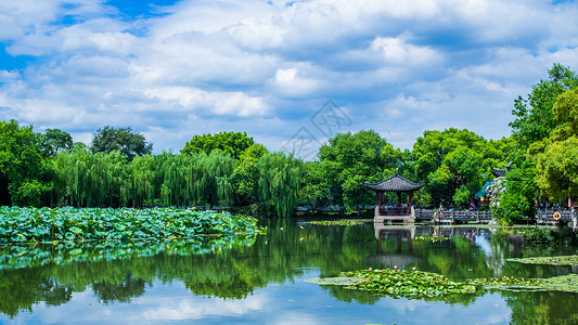 看绿色景色杭州西湖景色背景