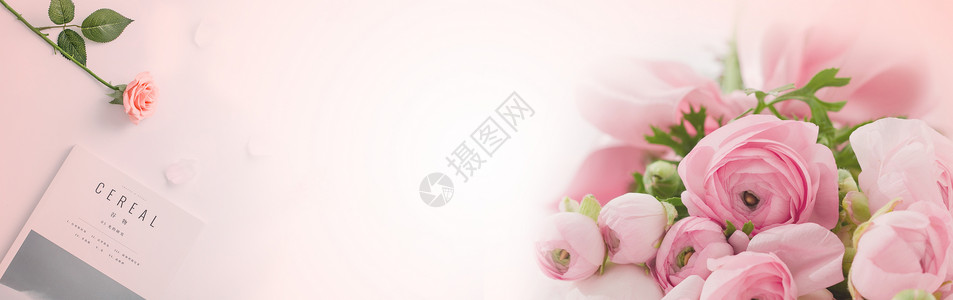 玫瑰花瓶鲜花背景设计图片