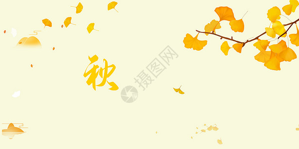 秋天的银杏背景图片