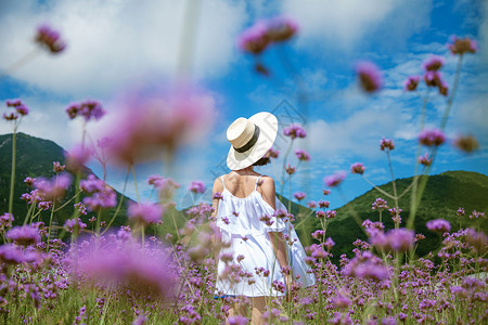 个人旅游薰衣草花田里的美女背影背景