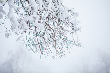 雾凇雪景素材图片