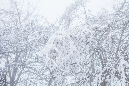 雾凇雪景素材图片