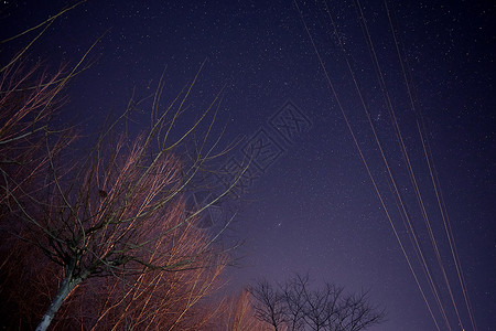 森林星空素材背景图片