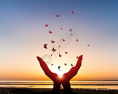 青海湖自驾夕阳下蝴蝶围绕双手飞舞设计图片