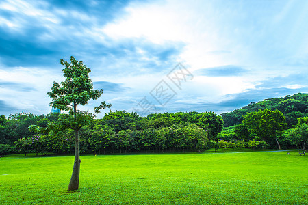 ag600城市草地绿化树林云朵天际线背景