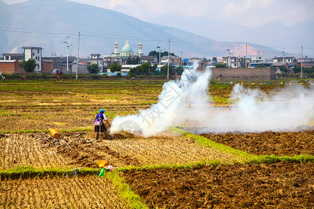 田野耕种农民在烧地的人背景