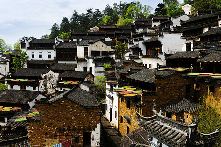 山纹理早春婺源篁岭背景