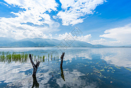 云南旅拍云南大理洱海风光背景