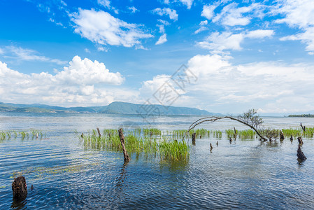 云南旅拍云南大理洱海风光背景