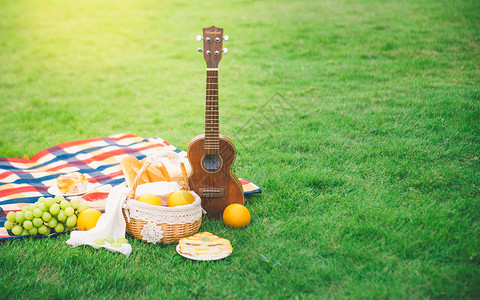 夏天度假图标户外绿草地上野餐背景