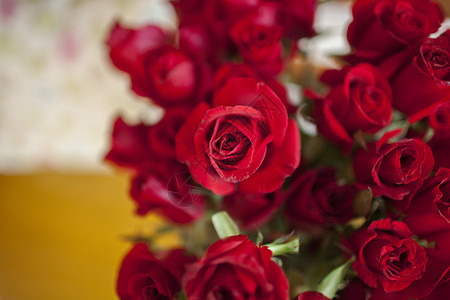 热情红室内摆放玫瑰花背景