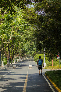 阳光的路素材大学校园大学生走路背影背景