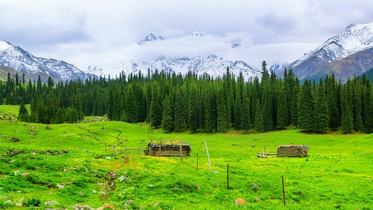 雪山树林夏特古道背景