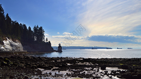 加拿大独木舟加拿大史丹利公园风景背景