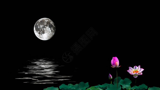 中秋夜空荷花池中的月亮倒影背景