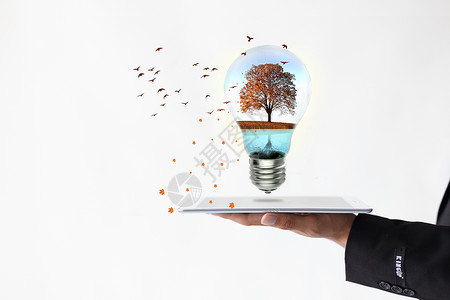 枫叶透明素材平板电脑在线教育灯泡里的小世界设计图片