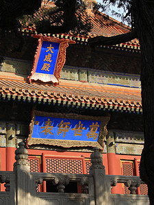 北京孔庙孔庙大殿特写万世师表背景