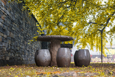 石头凳子银杏树下的石凳背景