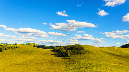 起伏的丘陵草原风光图片