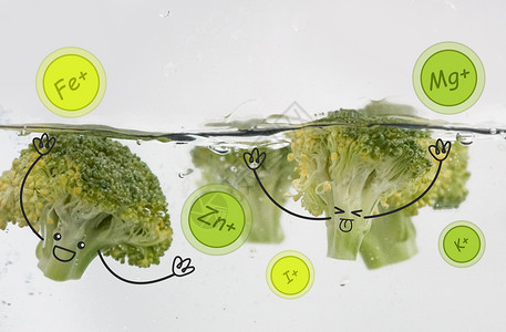 锡纸花菜健康饮食设计图片