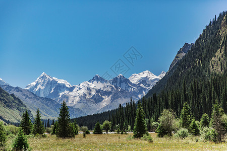 远方圣洁的雪山背景