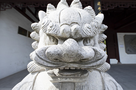 中国元素石狮子背景图片