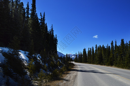 加拿大班夫国家公园国道公路背景图片