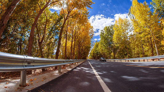 红叶黄色热气球秋天的公路背景