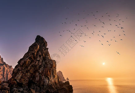 大海海鸥燕窝岭日出背景